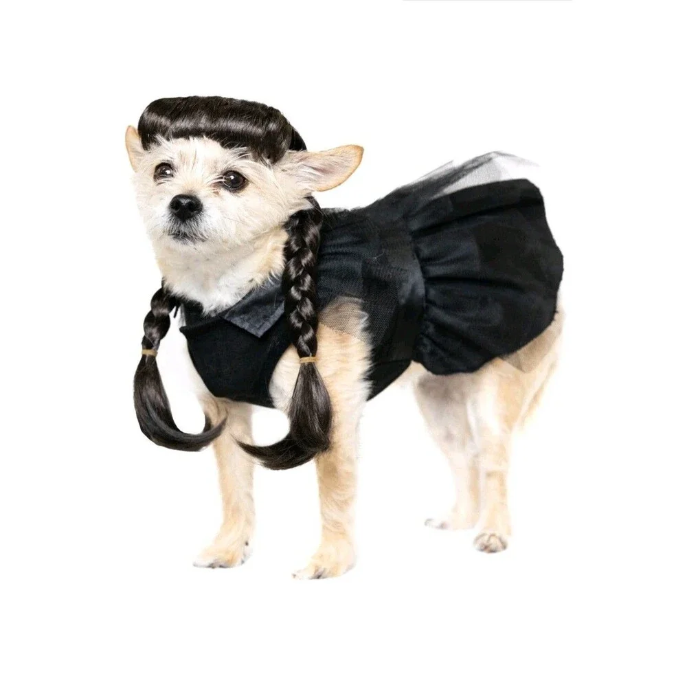 Vibrant Life Gothic Witch Dog/Pet Halloween Costume Wig & Outfit XS (5-10Lbs)